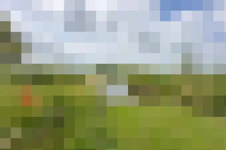 Pyreneeën 25 Amersfoort thumbnail 46