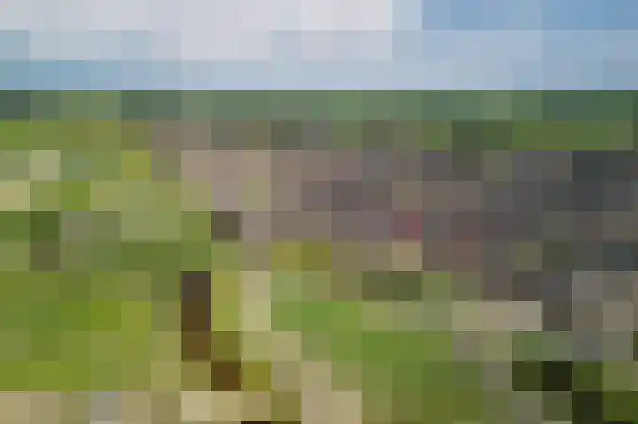 Pyreneeën 25 Amersfoort thumbnail 49