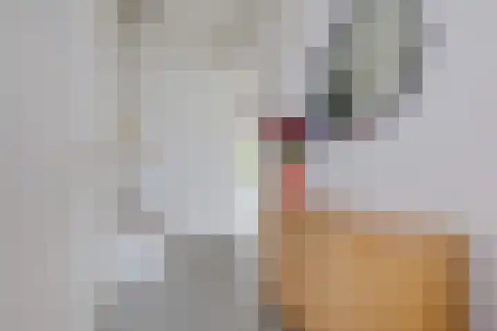 Pyreneeën 25 Amersfoort thumbnail 5