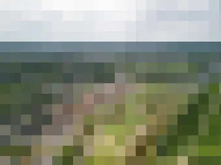 Pyreneeën 25 Amersfoort thumbnail 50