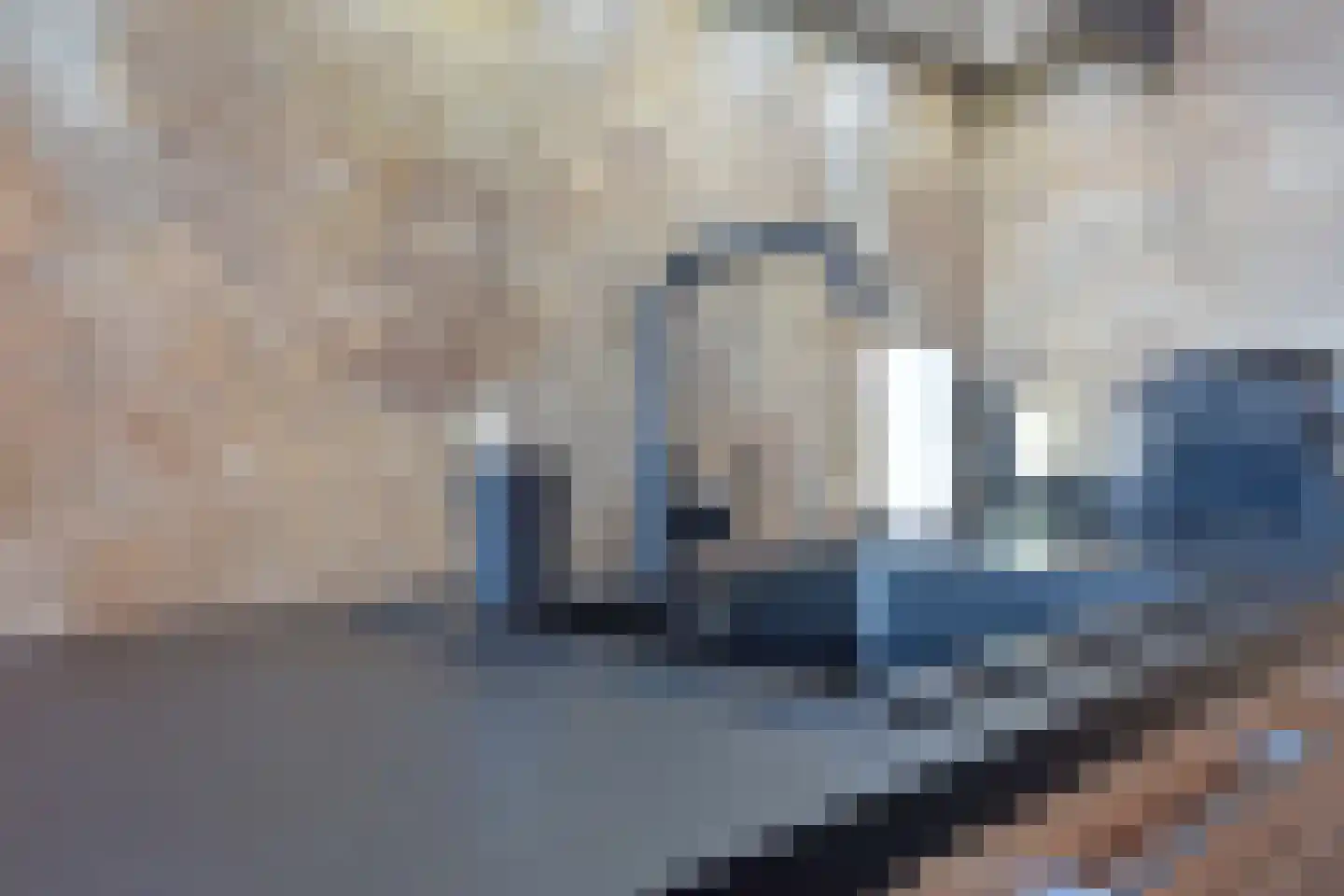 Pyreneeën 48 Utrecht thumbnail 12