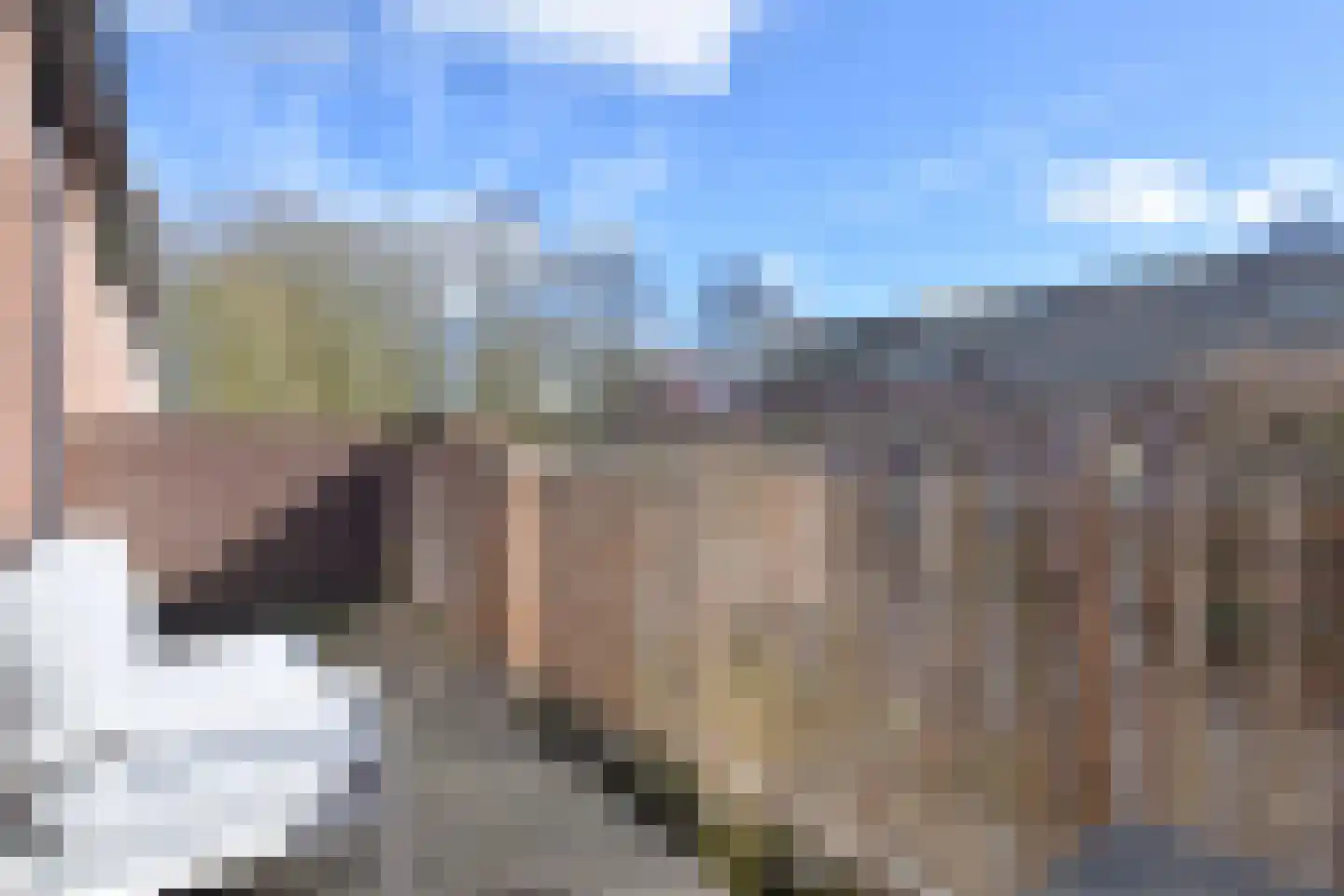 Pyreneeën 48 Utrecht thumbnail 30