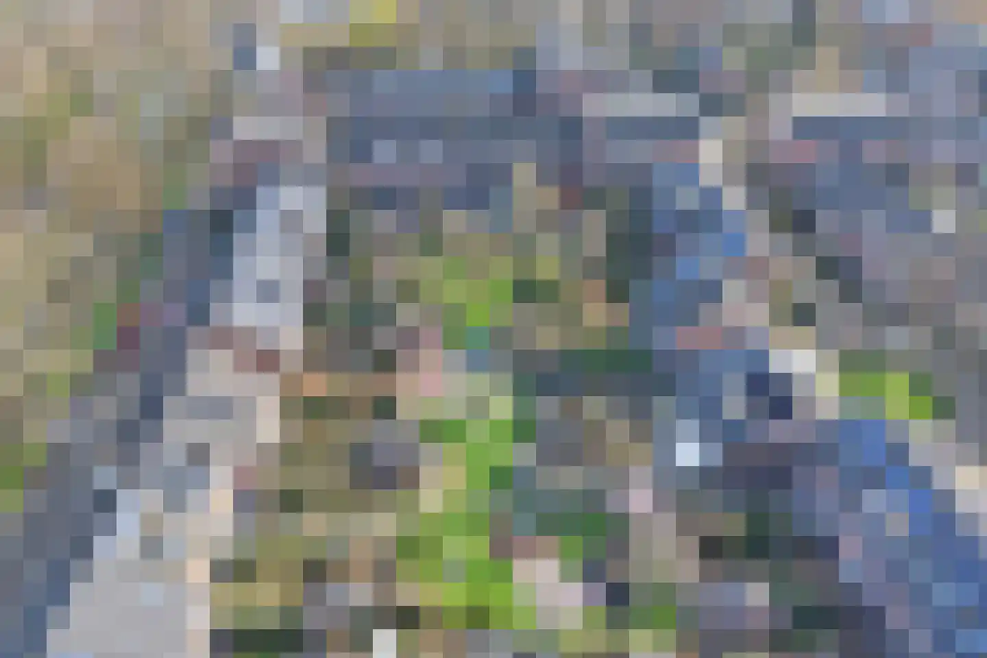Pyreneeën 48 Utrecht thumbnail 33