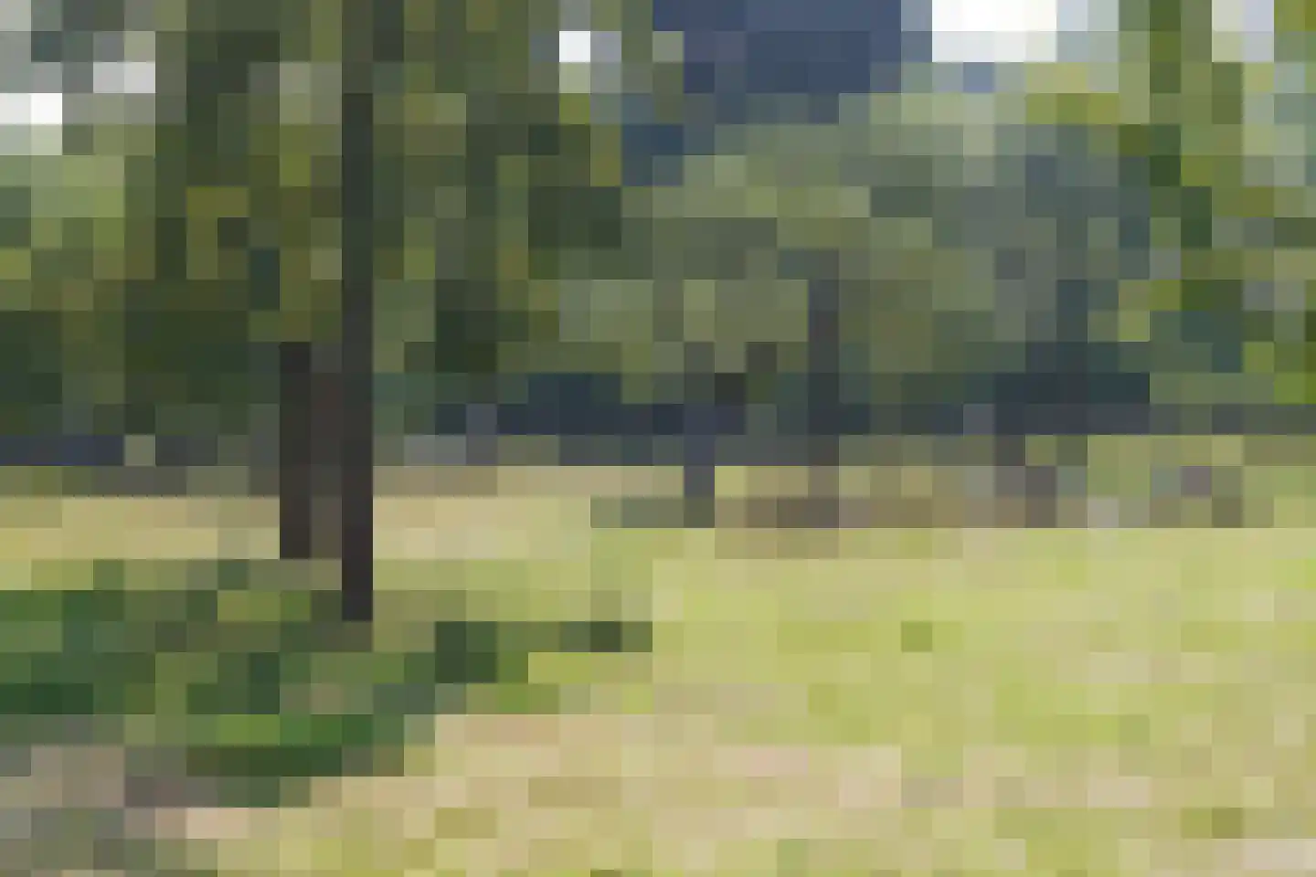 Pyreneeën 48 Utrecht thumbnail 38