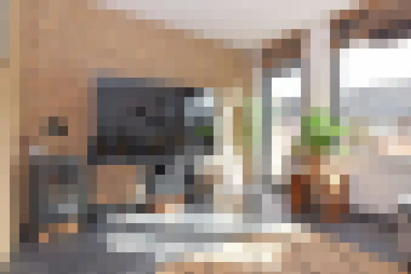 Pyreneeën 48 Utrecht thumbnail 5