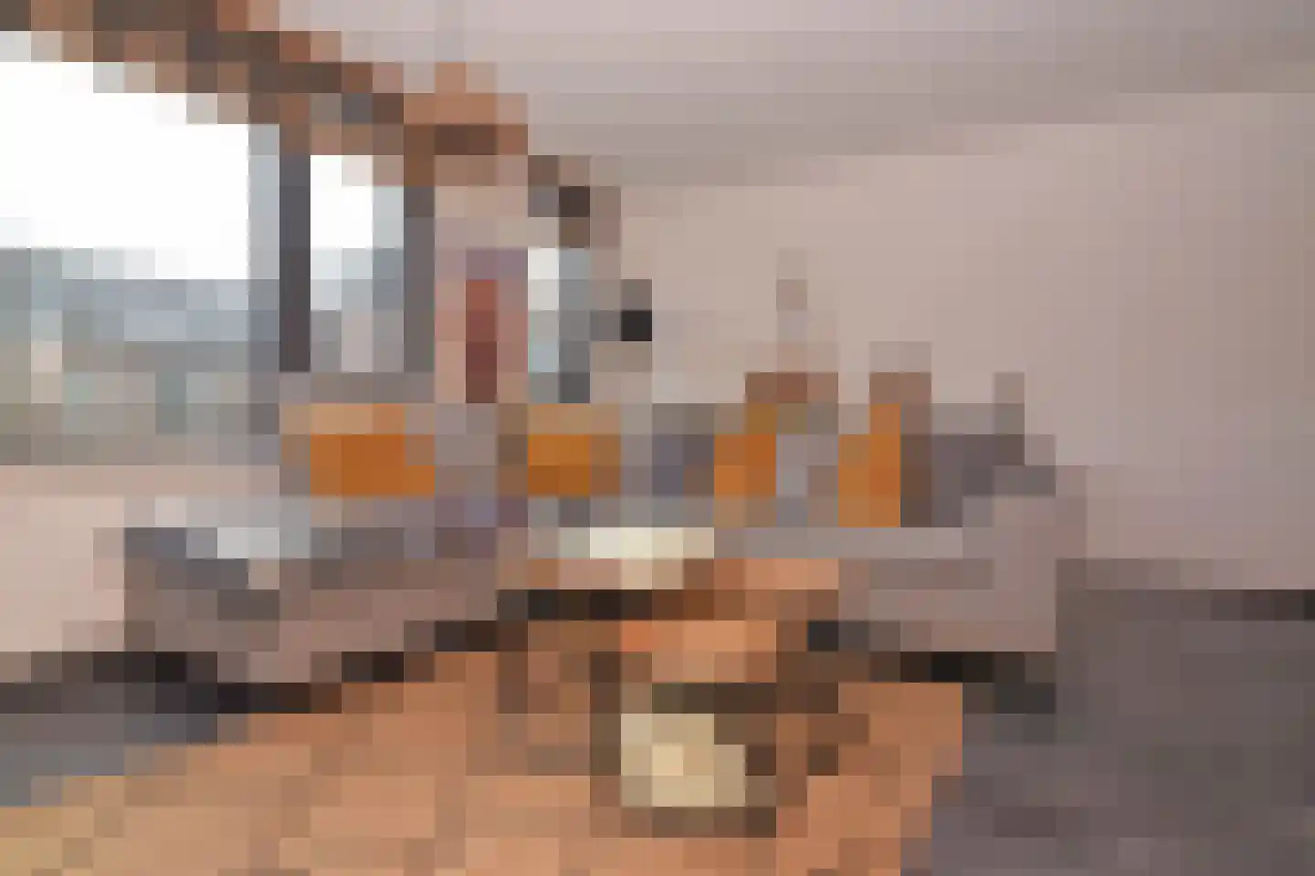 Pyreneeën 48 Utrecht thumbnail 6