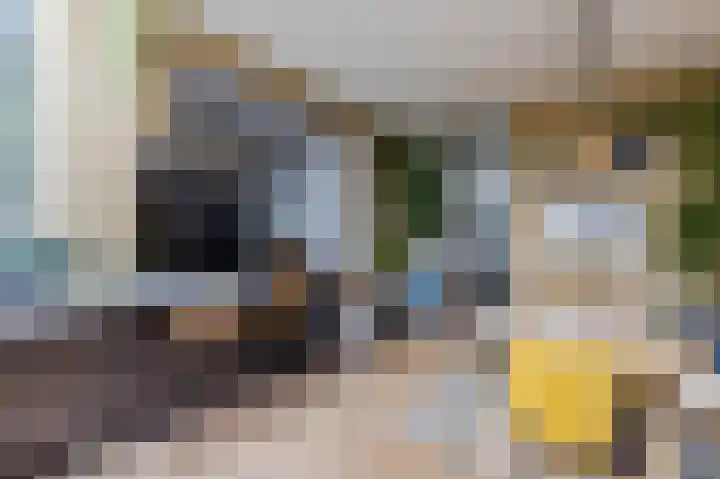 Pyreneeën 5 Amsterdam thumbnail 12