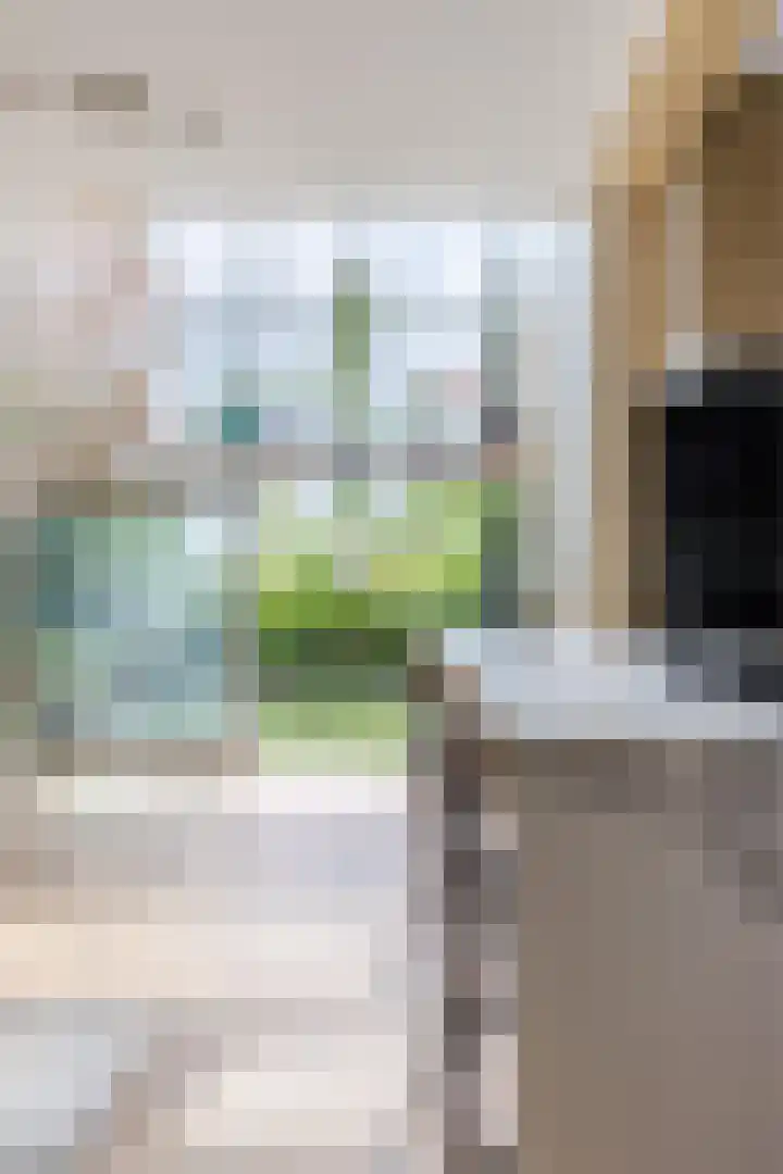 Pyreneeën 5 Amsterdam thumbnail 16