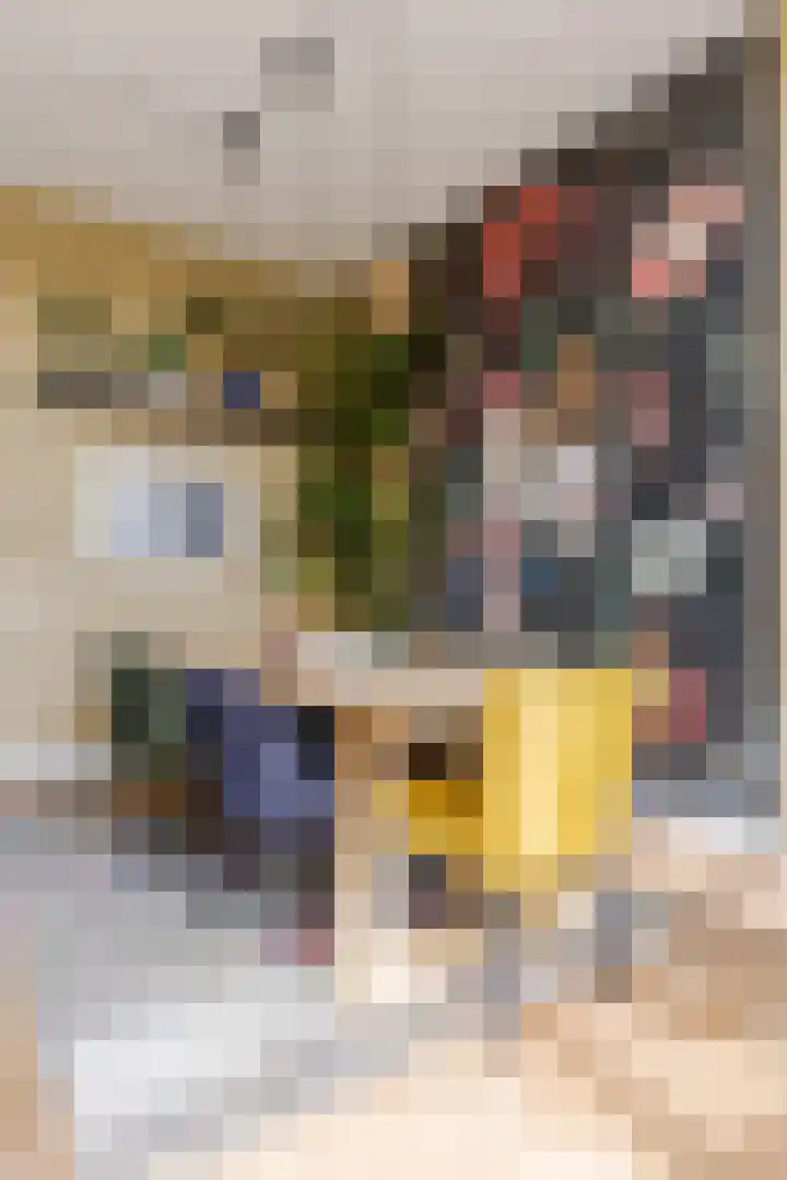 Pyreneeën 5 Amsterdam thumbnail 17