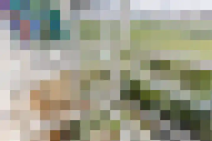 Pyreneeën 5 Amsterdam thumbnail 26