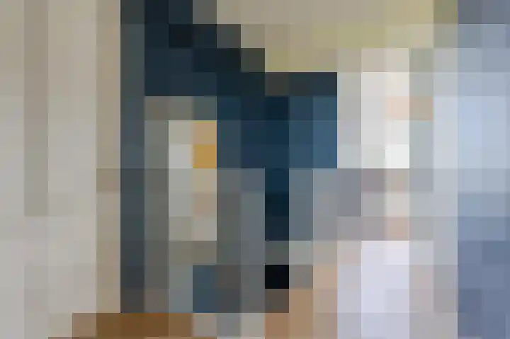 Pyreneeën 5 Amsterdam thumbnail 33