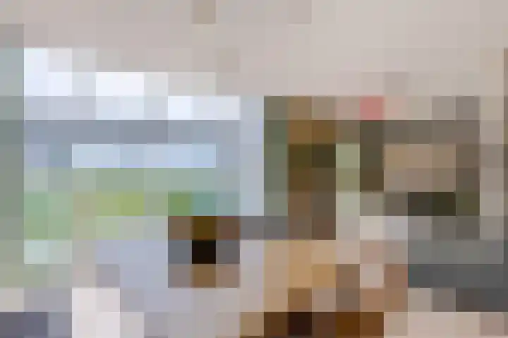 Pyreneeën 5 Amsterdam thumbnail 4