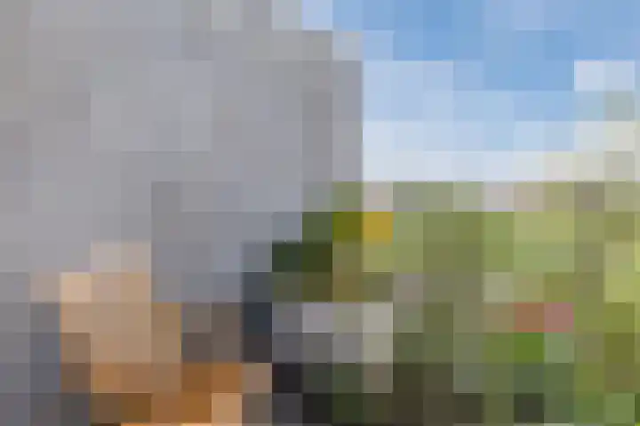 Pyreneeën 5 Amsterdam thumbnail 40
