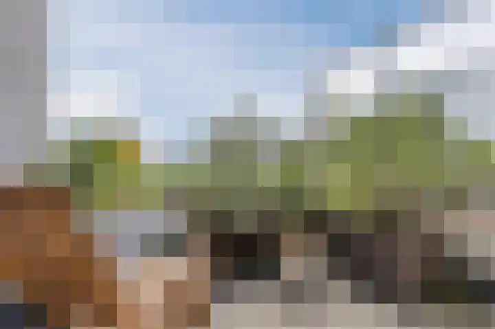 Pyreneeën 5 Amsterdam thumbnail 41