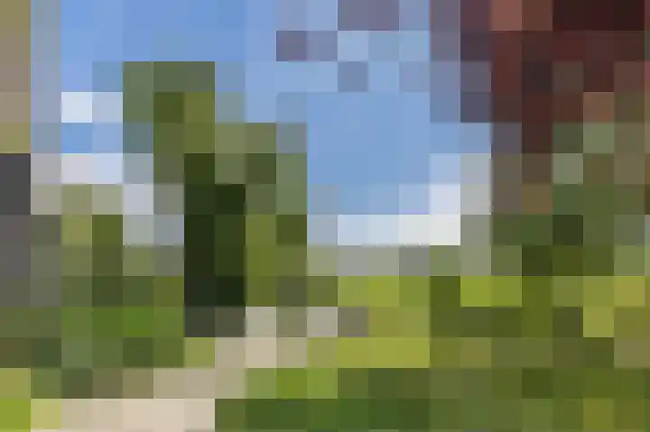 Pyreneeën 5 Amsterdam thumbnail 53