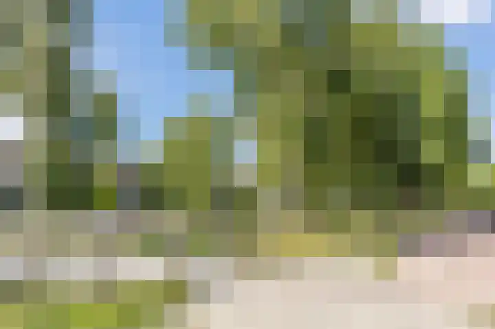 Pyreneeën 5 Amsterdam thumbnail 54
