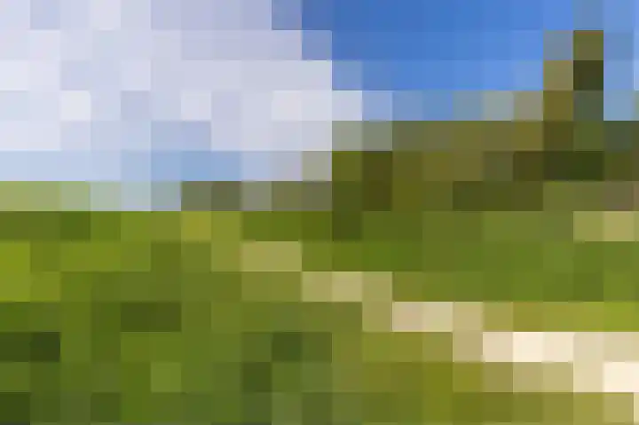Pyreneeën 5 Amsterdam thumbnail 55