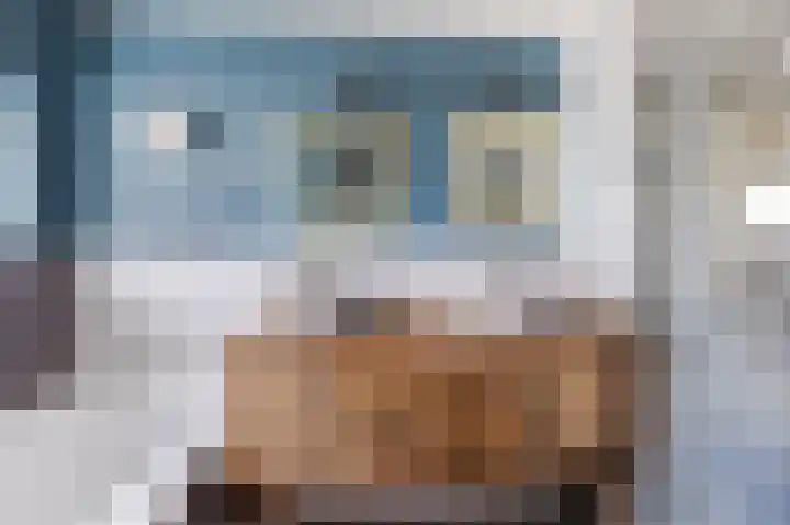 Pyreneeën 5 Amsterdam thumbnail 6