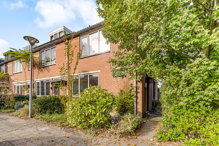 Pyreneeën 54 in Utrecht Foto