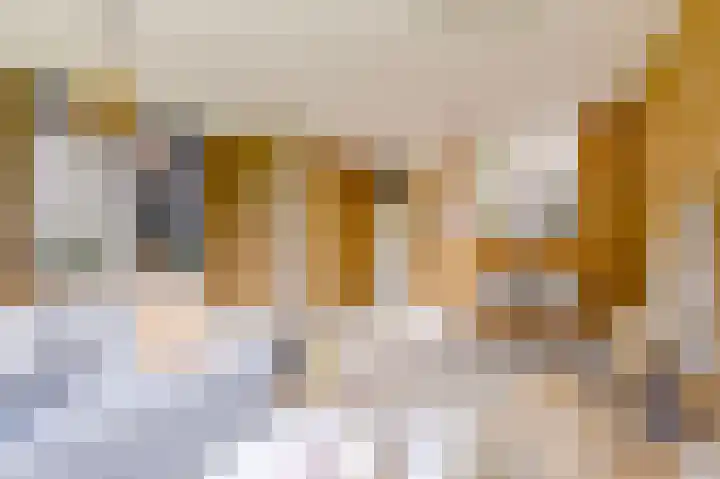 Pyreneeën 54 Utrecht thumbnail 10