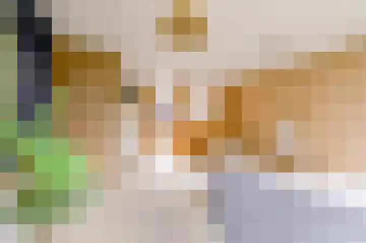 Pyreneeën 54 Utrecht thumbnail 12