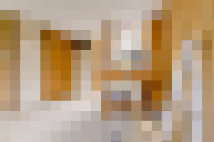 Pyreneeën 54 Utrecht thumbnail 13