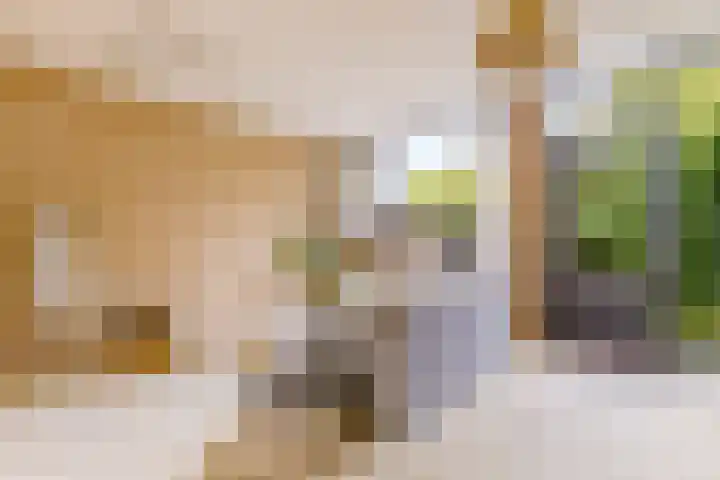 Pyreneeën 54 Utrecht thumbnail 14