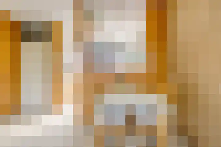 Pyreneeën 54 Utrecht thumbnail 17