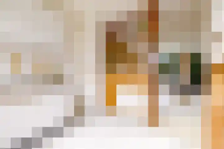 Pyreneeën 54 Utrecht thumbnail 19