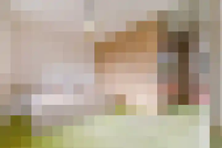 Pyreneeën 54 Utrecht thumbnail 24