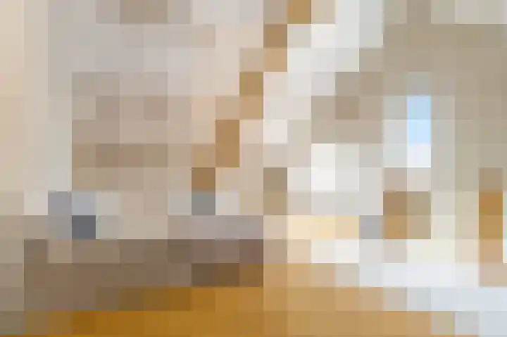Pyreneeën 54 Utrecht thumbnail 32