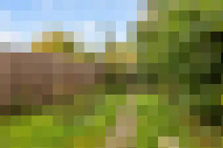 Pyreneeën 54 Utrecht thumbnail 34