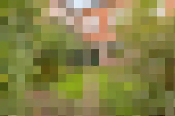 Pyreneeën 54 Utrecht thumbnail 35