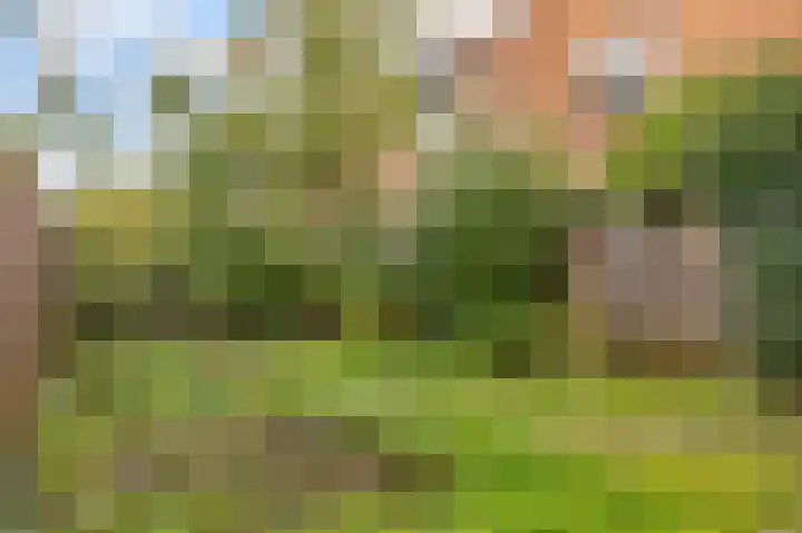 Pyreneeën 54 Utrecht thumbnail 36
