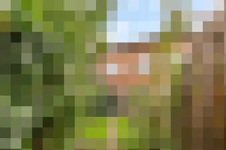 Pyreneeën 54 Utrecht thumbnail 37