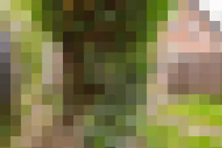 Pyreneeën 54 Utrecht thumbnail 38