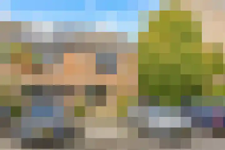 Pyreneeën 54 Utrecht thumbnail 4