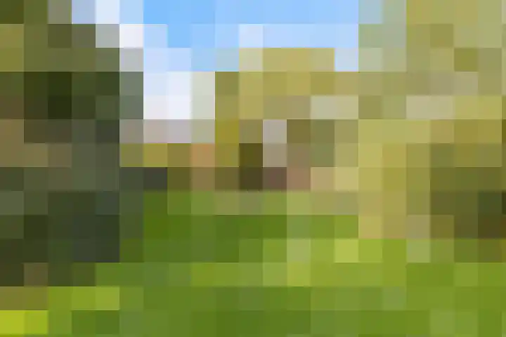 Pyreneeën 54 Utrecht thumbnail 40