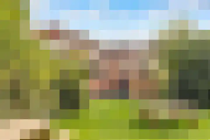 Pyreneeën 54 Utrecht thumbnail 42