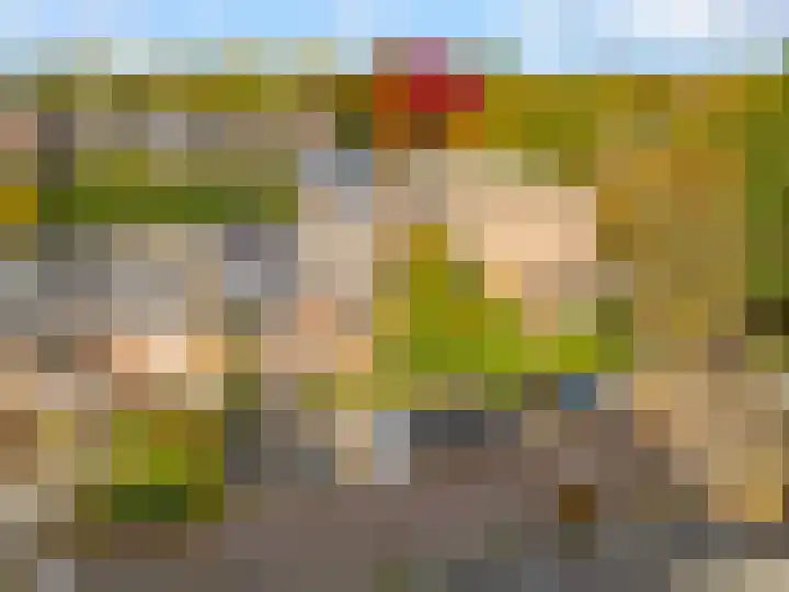 Pyreneeën 54 Utrecht thumbnail 44