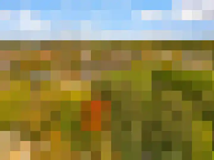 Pyreneeën 54 Utrecht thumbnail 48
