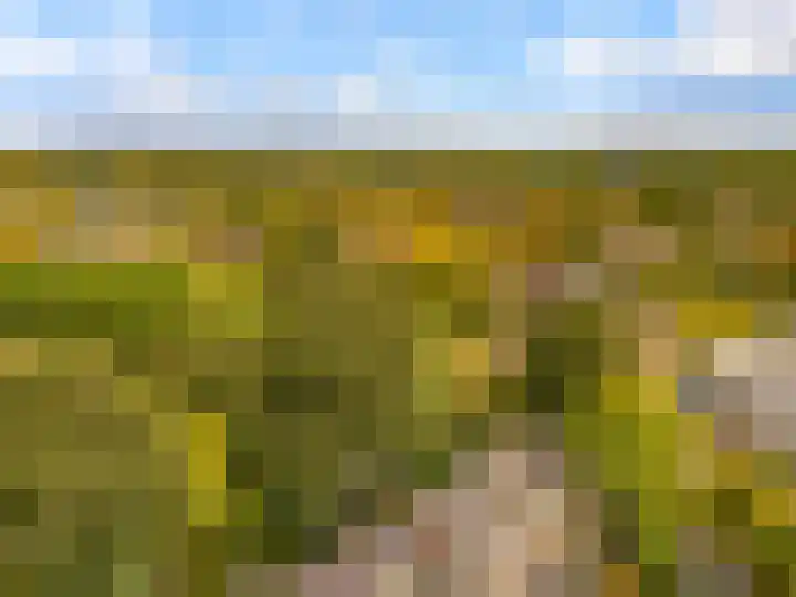Pyreneeën 54 Utrecht thumbnail 49