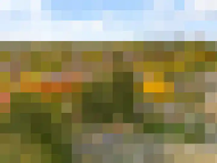 Pyreneeën 54 Utrecht thumbnail 51