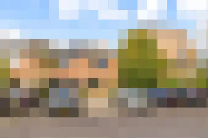 Pyreneeën 54 Utrecht thumbnail 6
