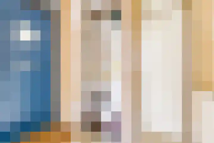 Pyreneeën 54 Utrecht thumbnail 7