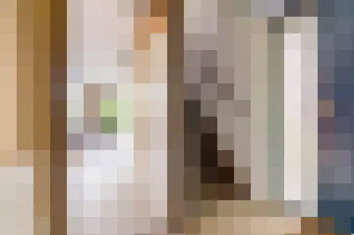 Pyreneeën 54 Utrecht thumbnail 8