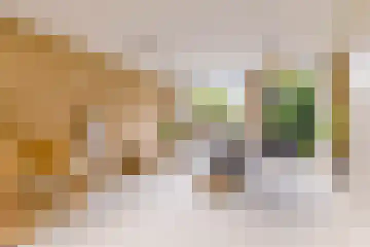 Pyreneeën 54 Utrecht thumbnail 9