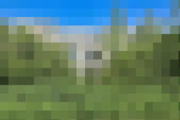 Pyreneeën 61 Amsterdam thumbnail 64