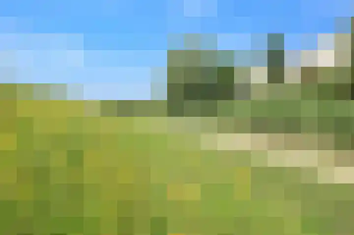 Pyreneeën 61 Amsterdam thumbnail 65