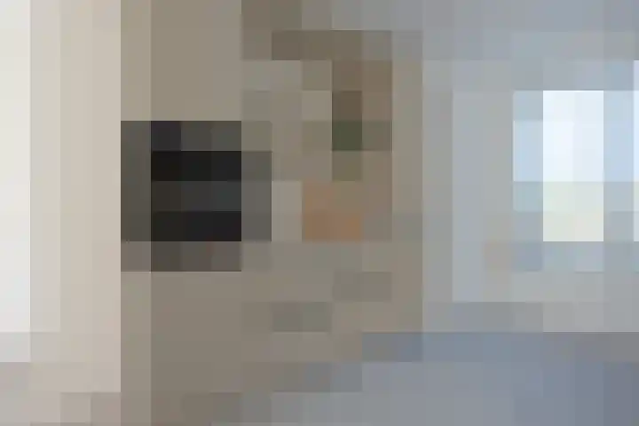 Pyreneeën 69 Amersfoort thumbnail 10